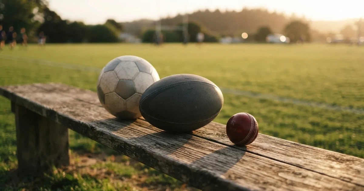 Three balls of different kinds side by side on a wooden bench