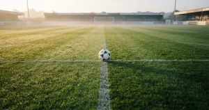 How to bet on sports in New Zealand in 2026: the legal paths