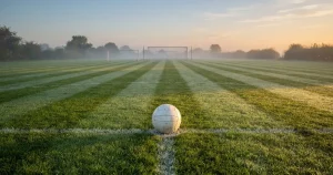 Sports betting guides 2026: TAB NZ, Betcha and offshore brands ranked